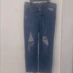 Wild Fable Classic Denim Jeans